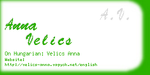 anna velics business card